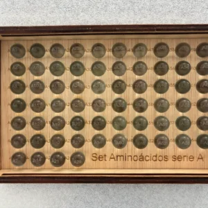 Set Aminoácidos