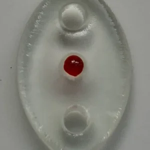 Circadian Yang